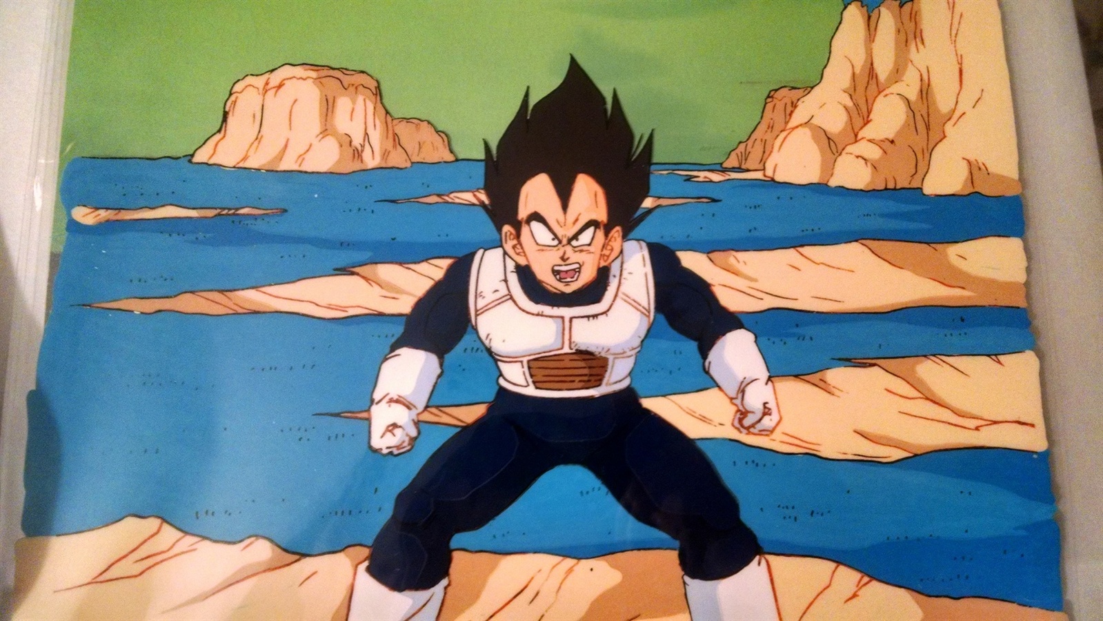 namek vegeta