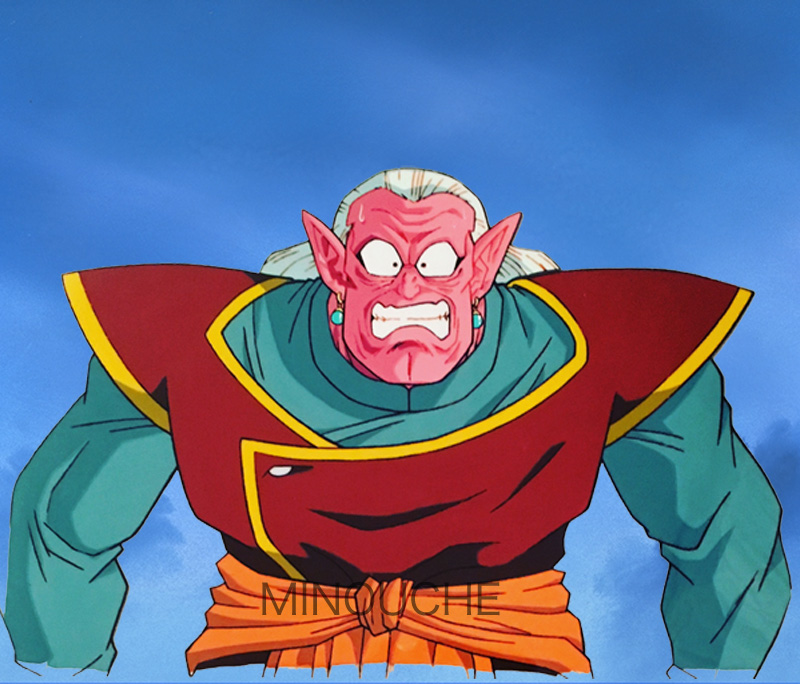 Minouche Youpiland - Dragon Ball Z 07 - Buu saga