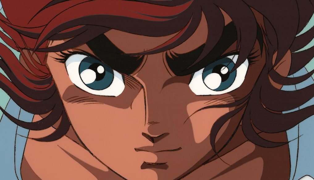 saint seiya araki