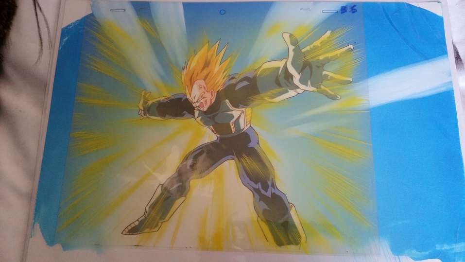 Majin Vegeta Final Flash  Dragon ball z, Dragon ball, Anime