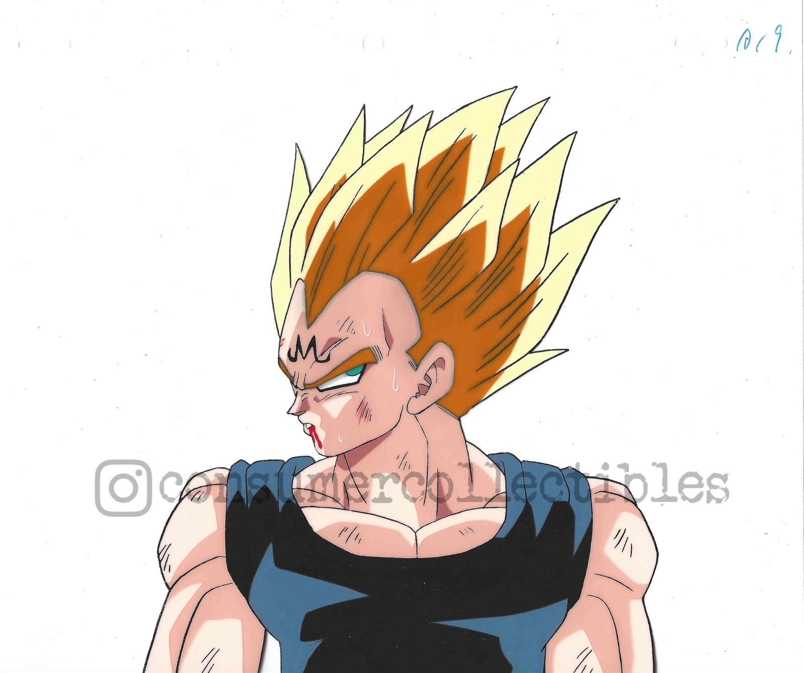 Majin Vegeta 1 Dragon Ball Z